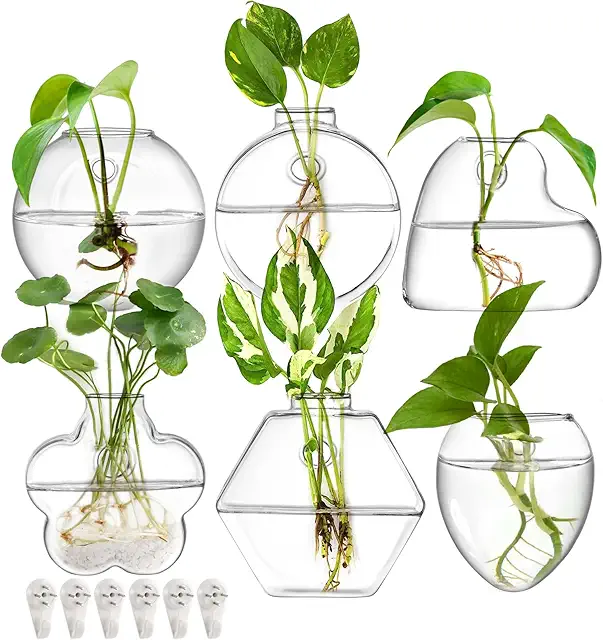 Yarlung Set of 6 Wall Hanging Terrarium Planters - Clear Glass Vases