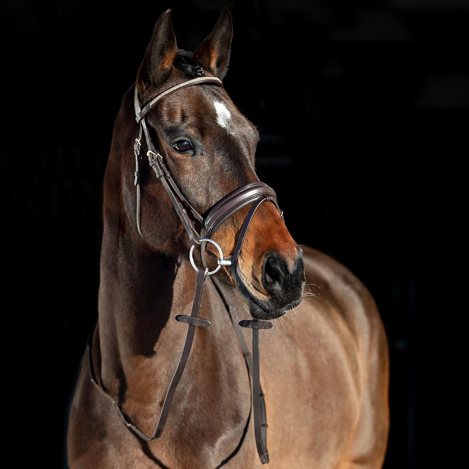 HORZE Lester Dressage Snaffle Bridle w/reins : Sports & Outdoors