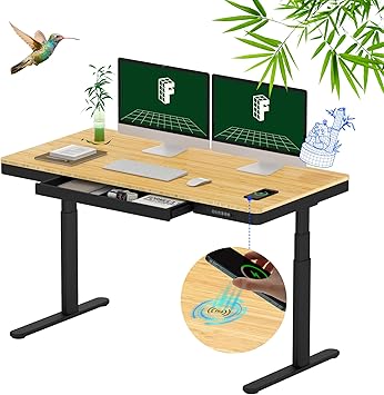 FLEXISPOT Q8 55 Bamboo Standing Desk, Dual Motor 3 Stages Adjustable Height Electric Computer Workstation w/Wireless Charging, Drawer, Quick Install, 220lbs Capacity (Bamboo Tabletop + Black Frame)