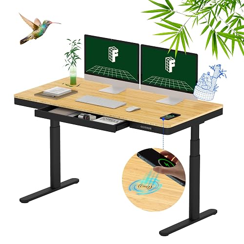 FLEXISPOT Q8 55 quot Bamboo Standing product photo (Standing Desks) — ScooterReviewPro review