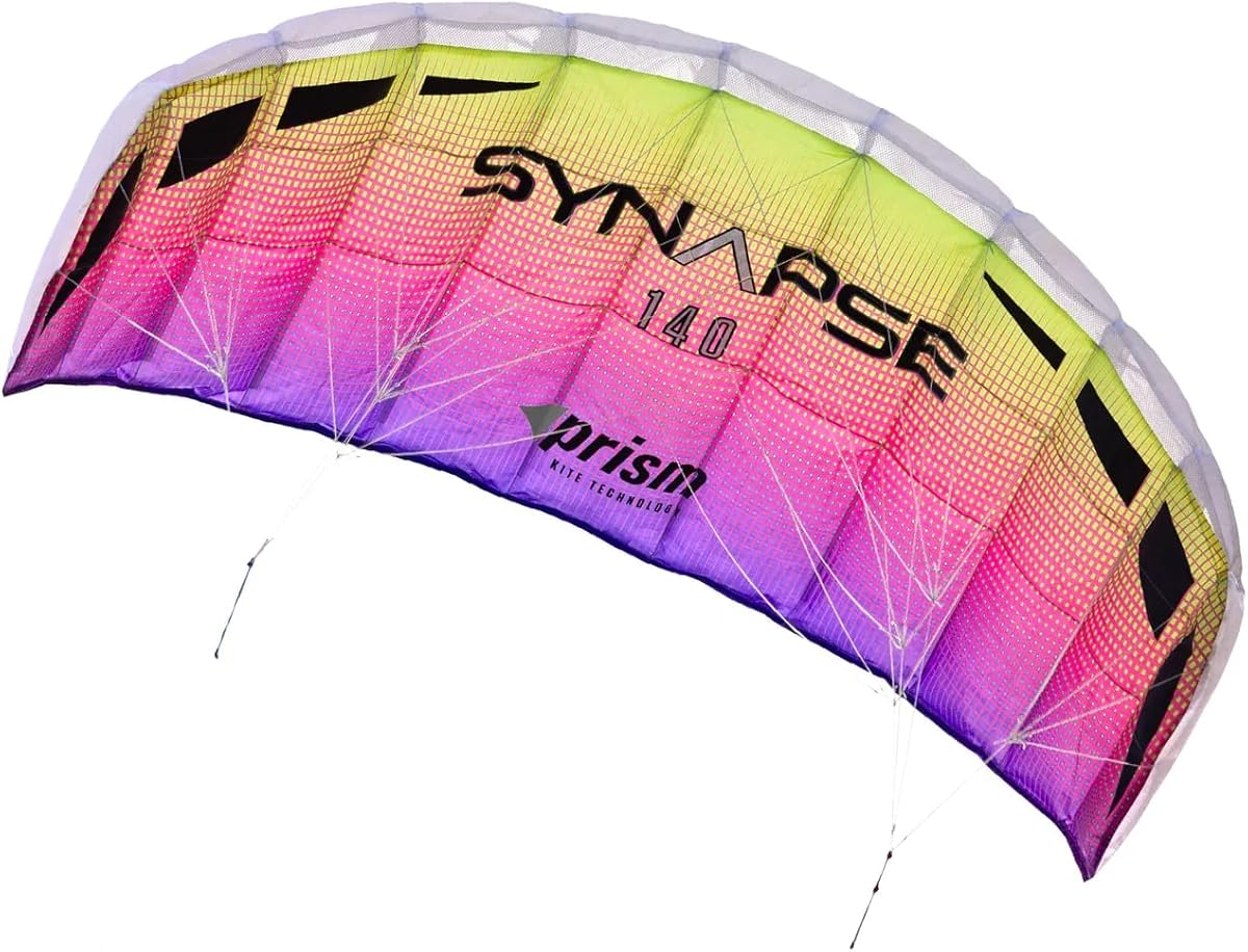 Synapse Dual-line Parafoil Kite - an Ideal Entry Level Kite for Kids and Adults to Dual-line Kiting - Synapse 140, Plasma