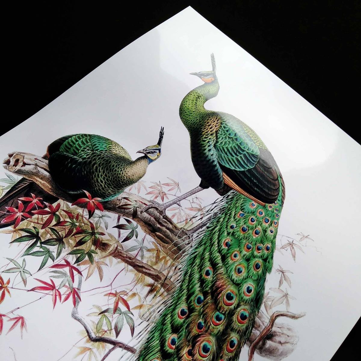 昭和レトロ 孔雀 花 花鳥 立体画 絵画 アート インテリア レトロ 昭和レトロ 孔雀 花 花鳥 立体画 絵画 アート インテリア レトロ