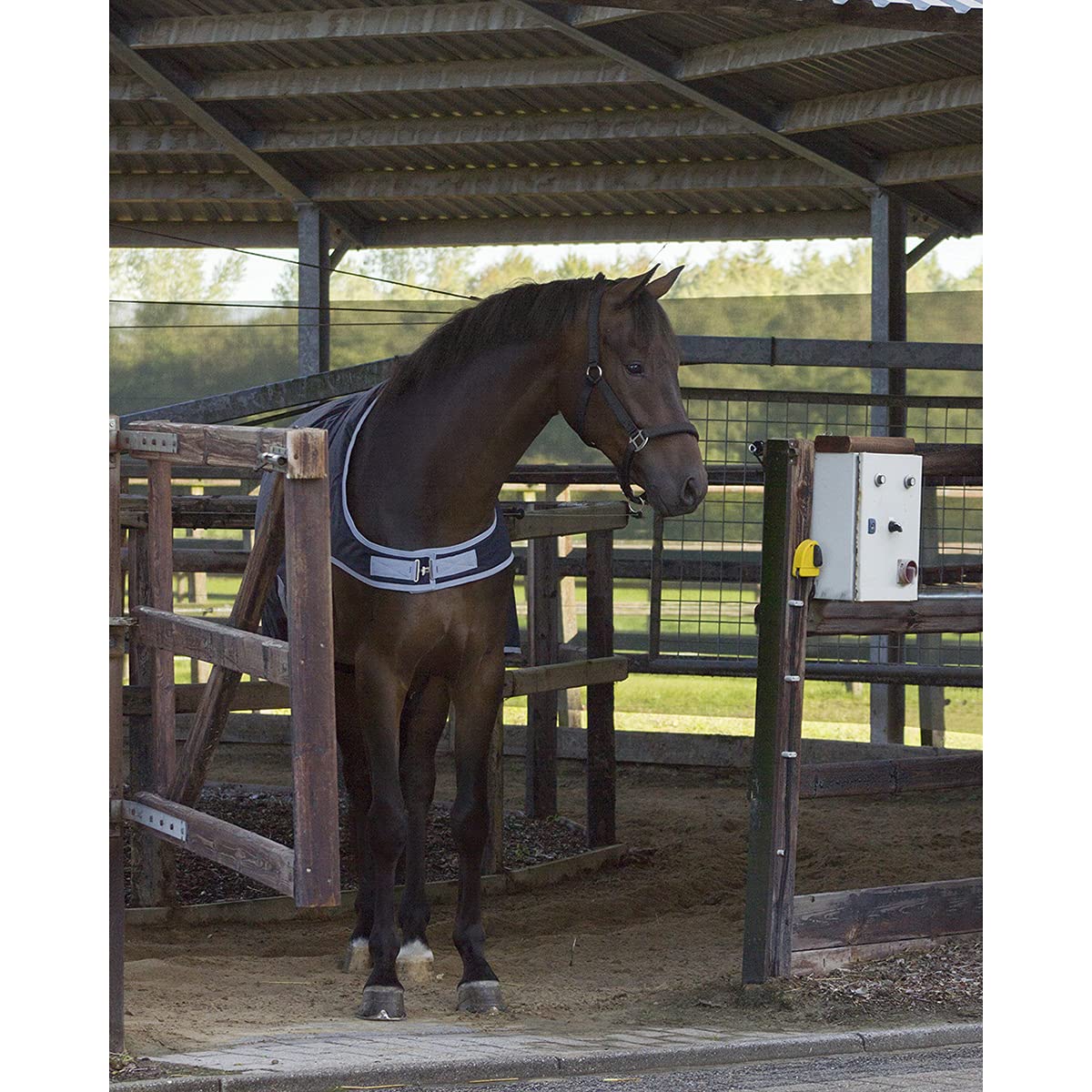 DKR Sports Coperta per Cavalli QHP