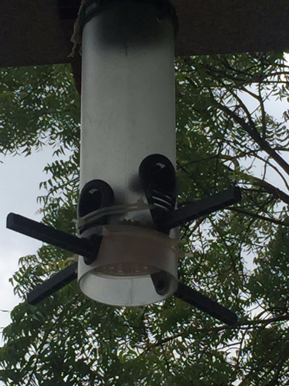 Bird feeder Trixie White Black 30 × 18 × 28 CM main image 1