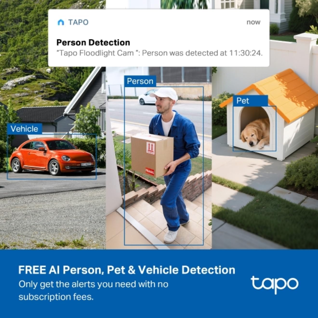 Tapo C615F Kit – Cámara Vigilancia Exterior con Panel Solar, 2K 3MP, 360° con Foco 800 LM, WiFi sin Cables, Detección IA Personas/Vehículos/Mascotas, Visión Nocturna Color, hasta 140 días de batería 12