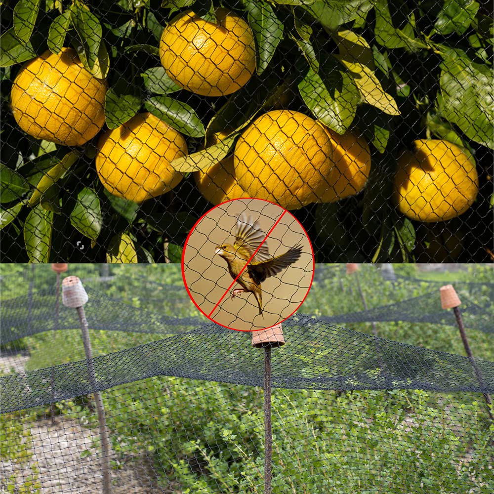 10m x 4 m Malla Antipajaros, Red Antipajaros, Red Pajaros Proteccion Malla Anti-pájaros de Protección de Frutas, Plantas, Cultivos Verduras Jardín - Negra