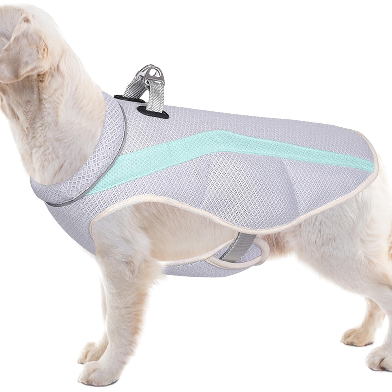 Gilet de refroidissement pour chien idéal pour la promenade d'été et l'entraînement canin