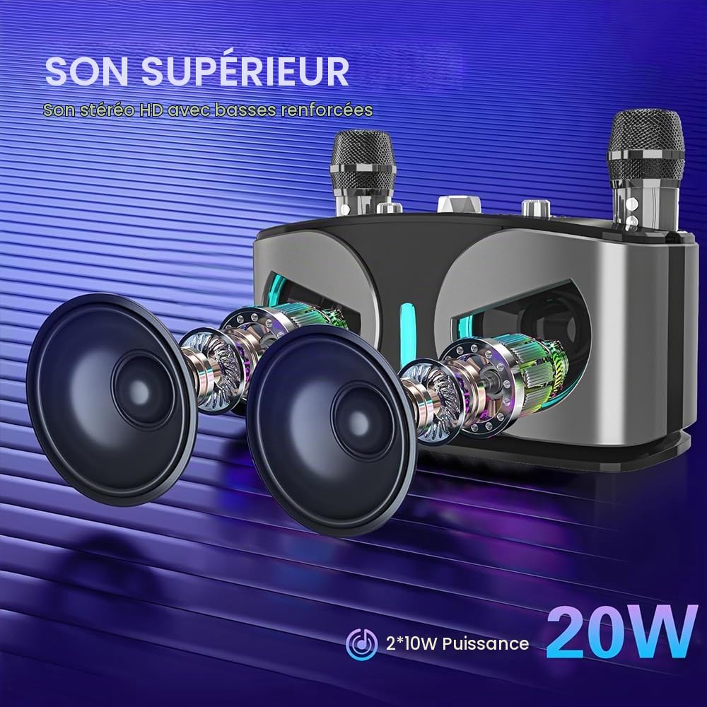 Machine de Karaoké avec 2 Microphones,Enceinte Karaoke 2 Micro Sans Fil pour Adultes Enfants,Portable Baffle Bluetooth Partybox avec Lumières Disco pour Les Réunions de Famille/Le Camping en Plein Air