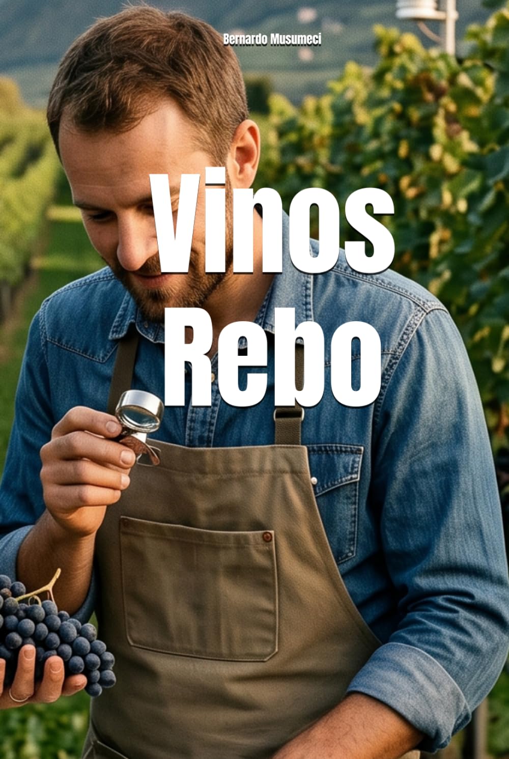 Vinos Rebo (Wines of the World: Italy)