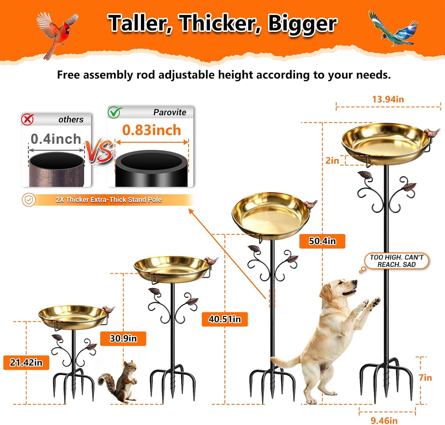 50" Tall Stainless Steel Bird Bath for Outside, Bird Water Feeder