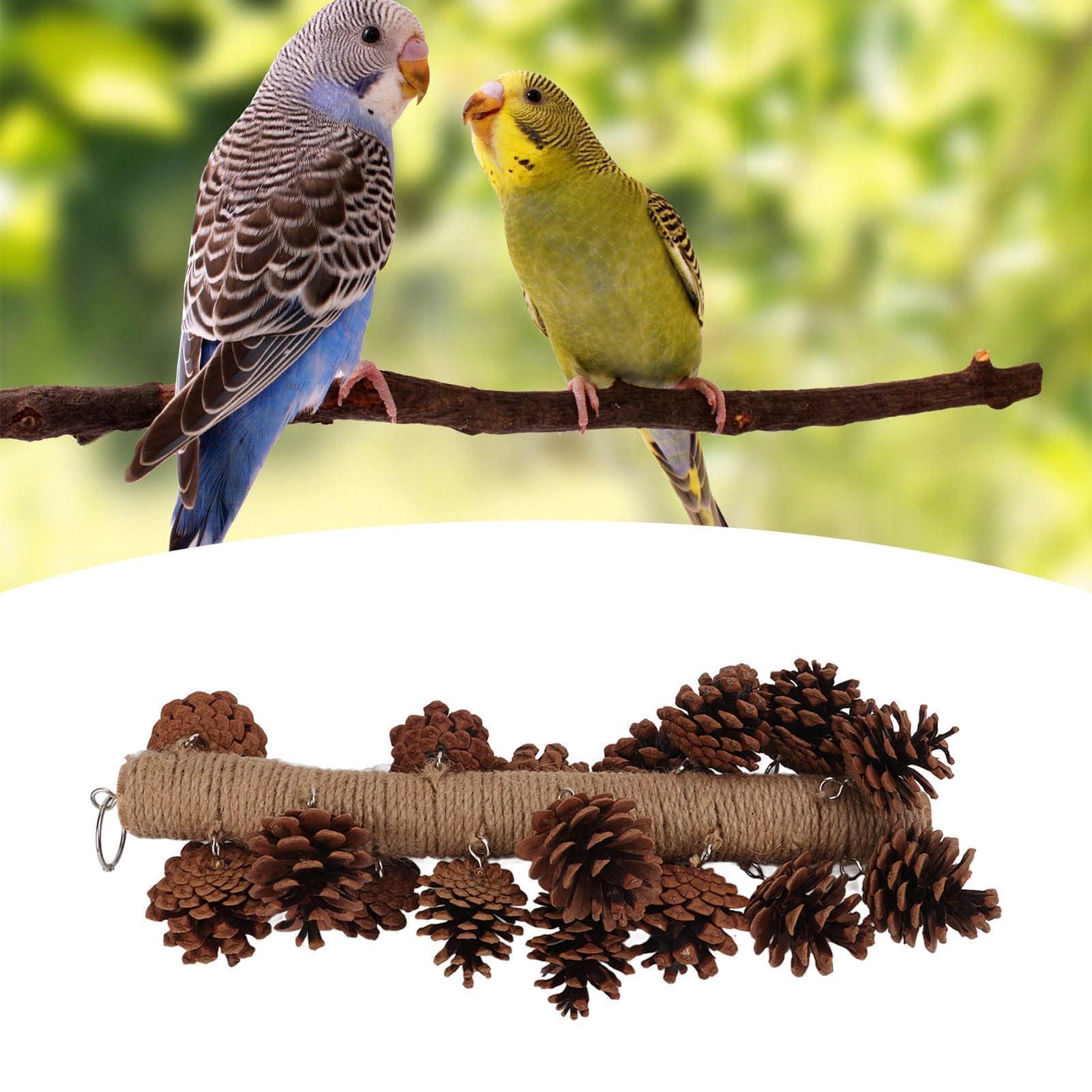 Juguete Natural de Madera para P¨¢jaros, Pi?a Colgante para Masticar, Accesorio de Jaula para Periquitos, Ninfas y Hamsters, Tama?o Grande