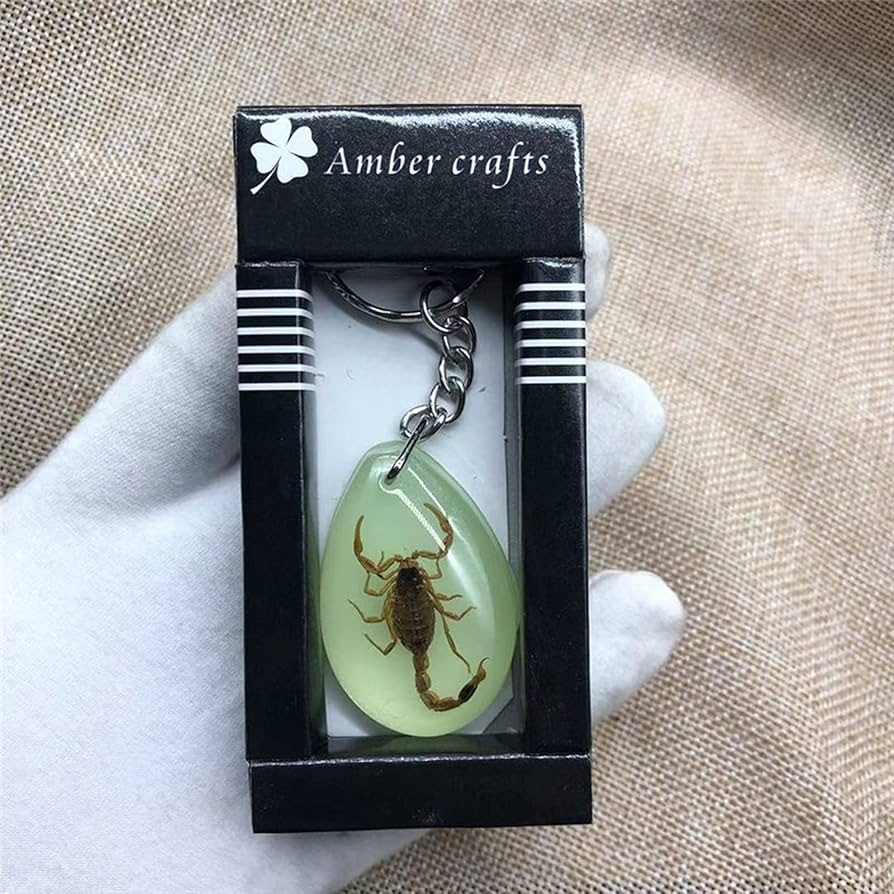 昆虫標本キーホルダー 緑色 昆虫標本キーホルダー 緑色