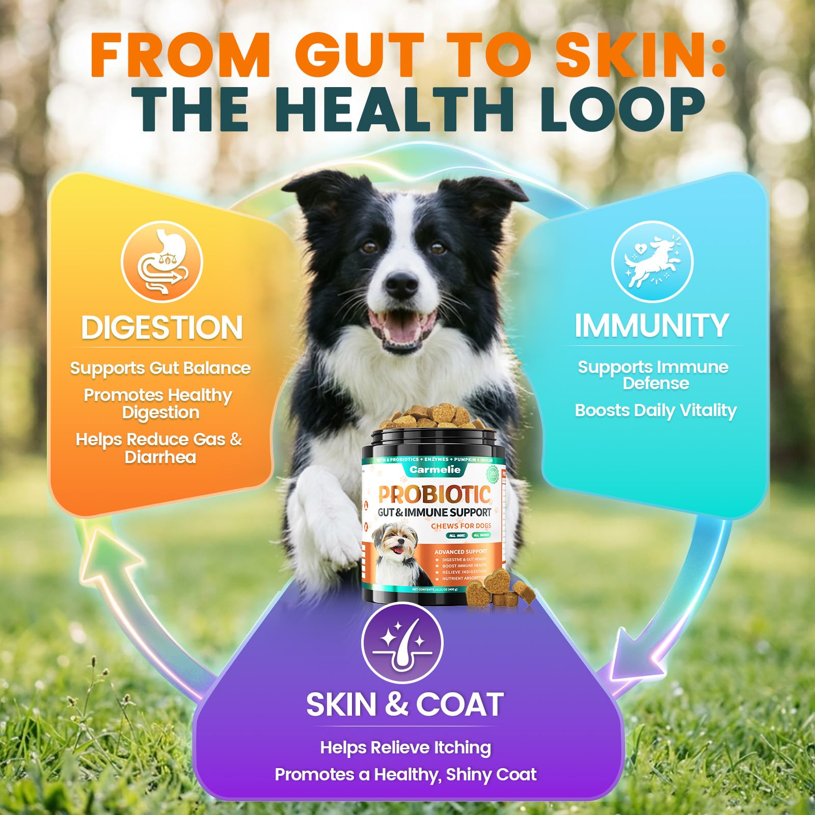 Carmelie Probiotiques pour chiens, 200 probiotiques digestifs et enzymes pour la santé intestinale avec citrouille, fibres pour chiens, anti-diarrhée, maux d'estomac, soulagement des gaz