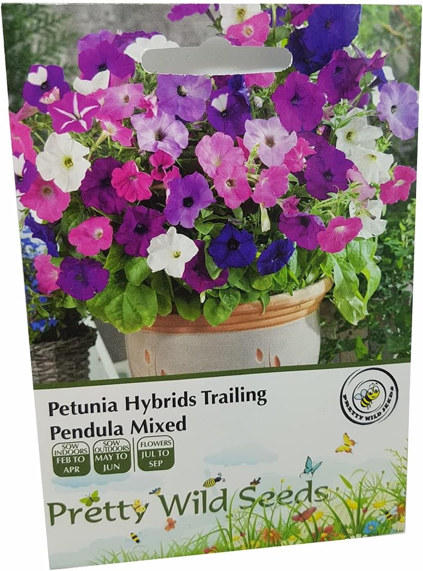1,000 Petunia Hybrids Trailing Pendula Mixed Seeds from Pretty Wild Seeds in UK