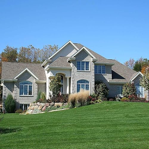 Outsidepride Combat Extreme Southern Zone Césped Semillas de césped tipo festuca y mezcla híbrida Bluegrass de 25 lb