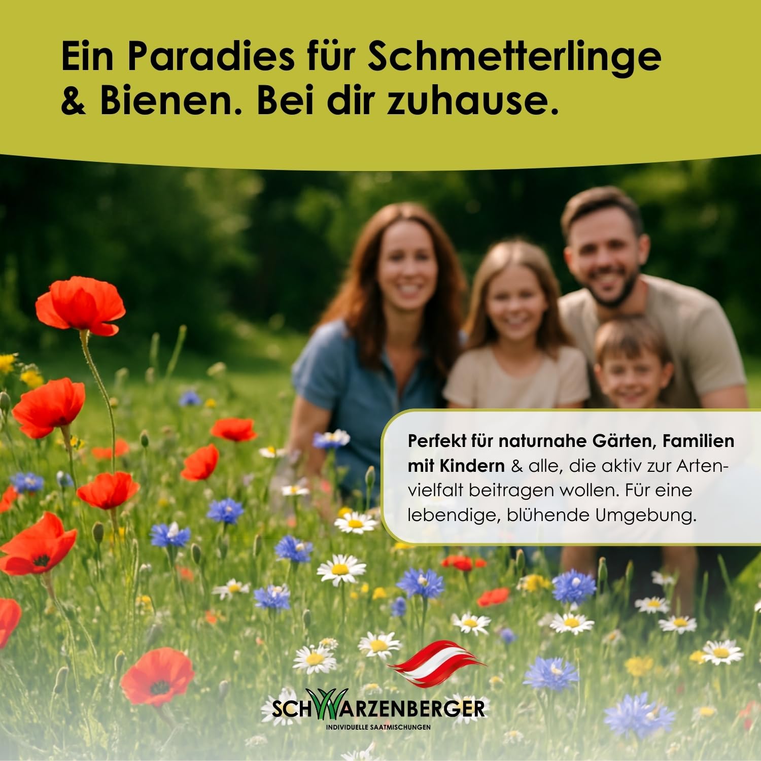 Samen Schwarzenberger I Mehrjährige Blumenwiese I 250 g für 100 m² I Samenmischung mit über 30 Arten I bestäuberfördernd & anpassungsfähig I für Schmetterlinge & Bienen