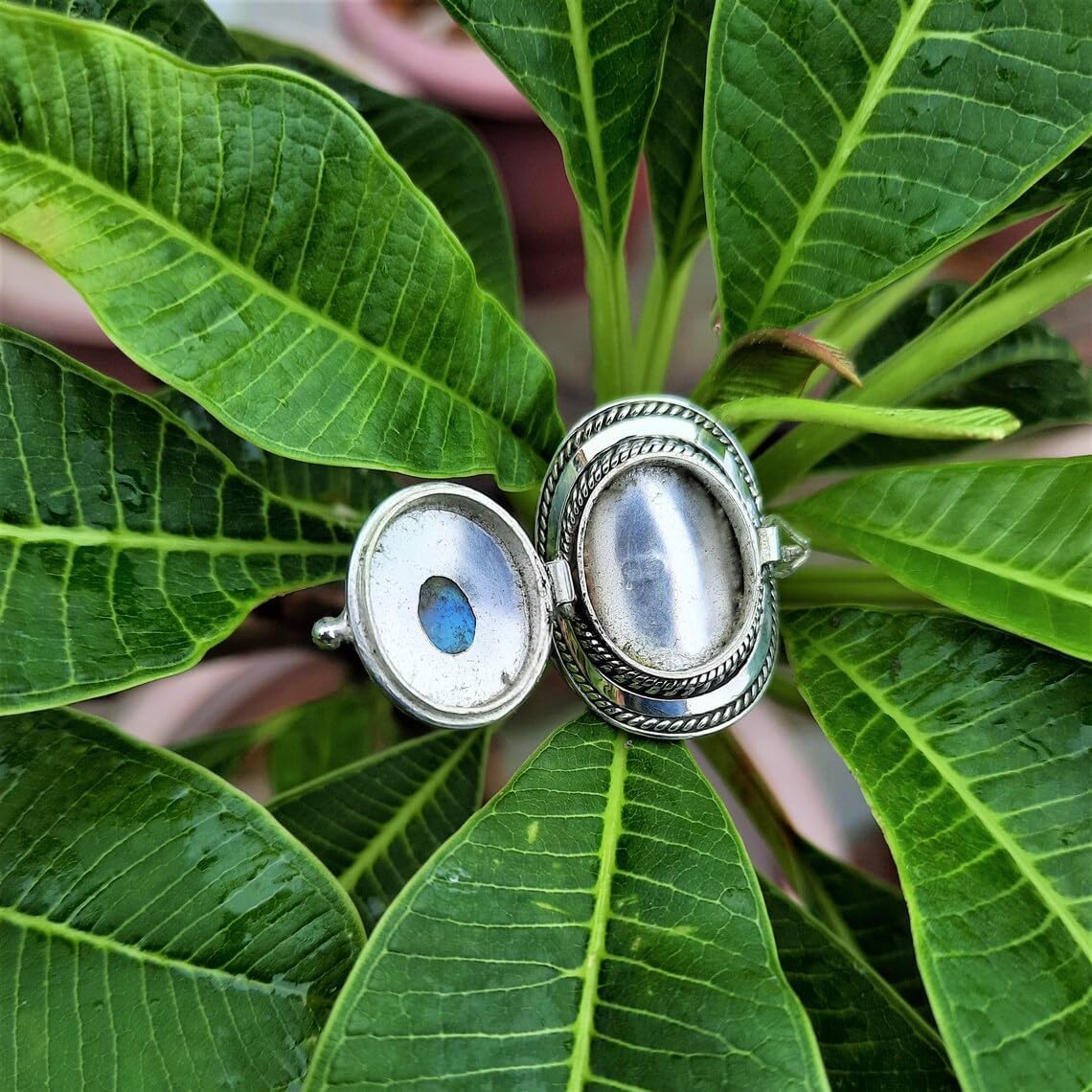 Brass Moonstone Poison Ring - Sterling Silver Plated, Handmade Boho Openable Pill Box Rings, June Birthstone Gift