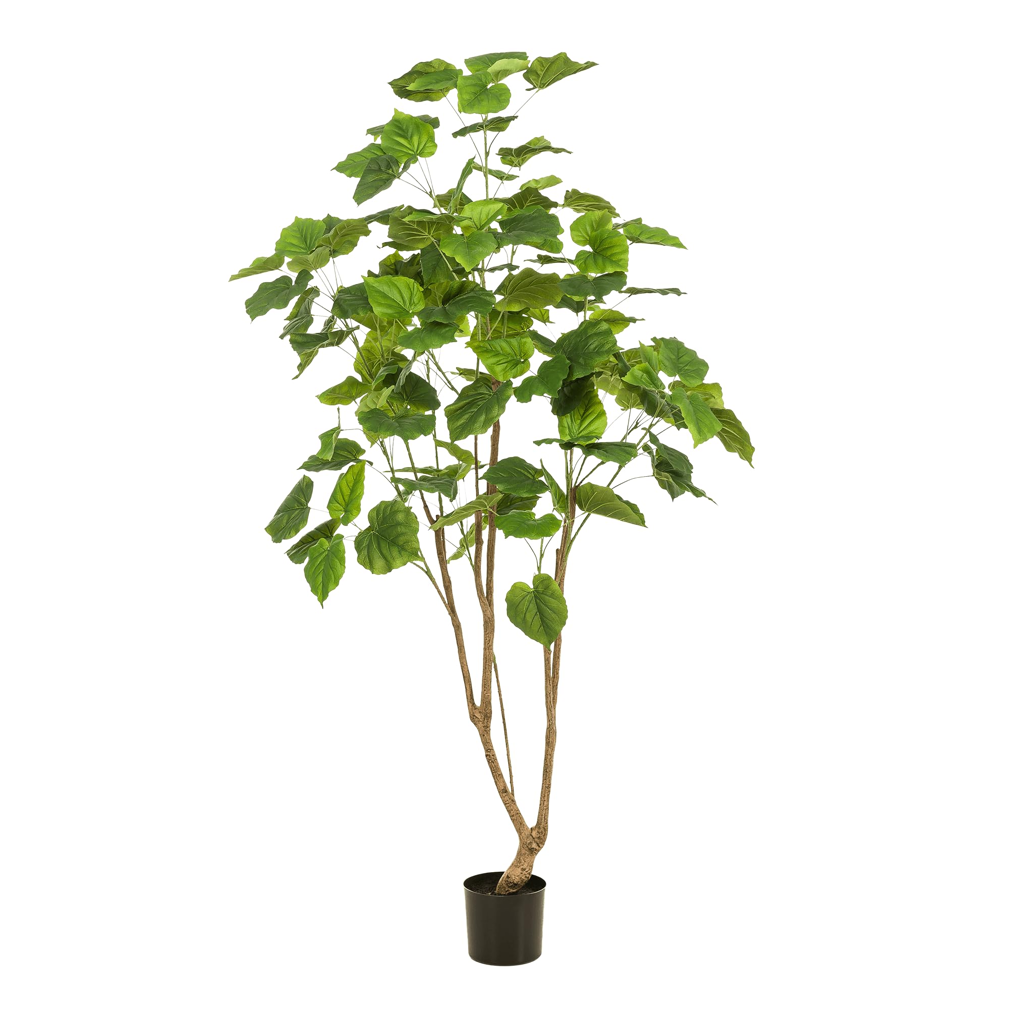 Kunstpflanze Ficus Umbellata Afrikanische Feige ca. 180 cm hoch ca. 180 cm