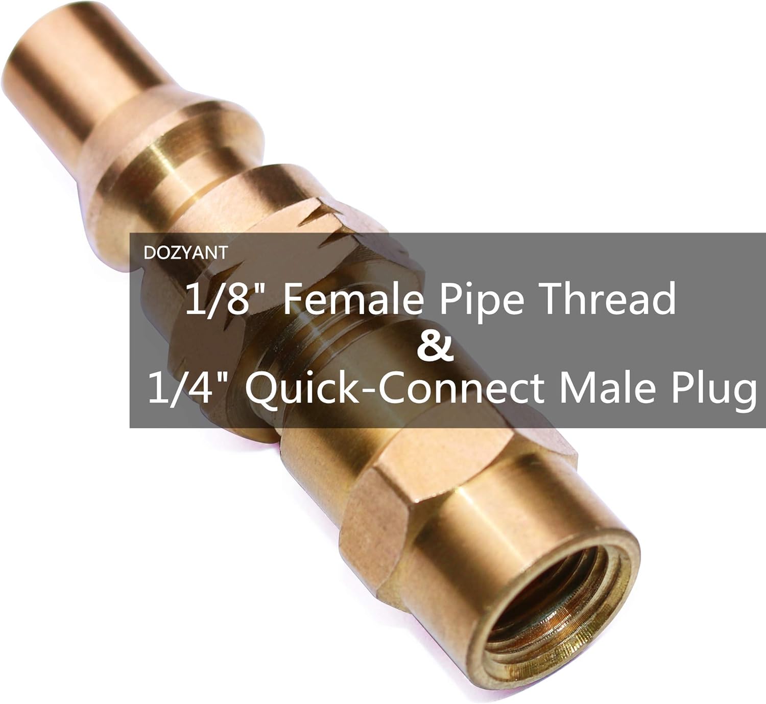 DOZYANT 12FT Propane Quick Hose Disconnect Conversion Kit for Weber Q Grill, Easy Connects to RV Trailer Low Pressure System