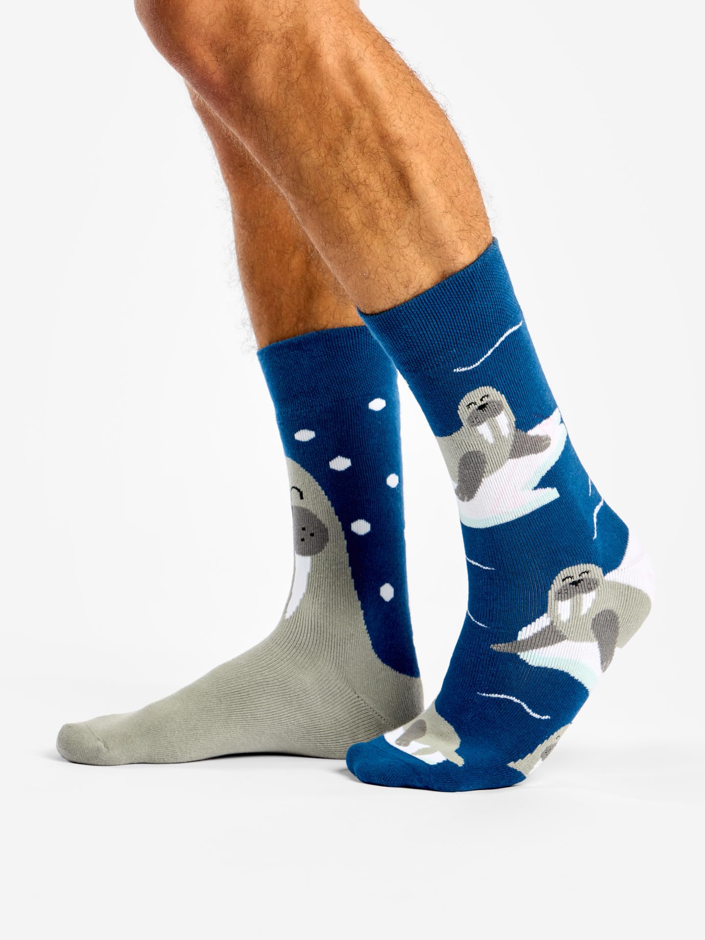 Dedoles Calzini Unisex Donna Uomo & Bambini Calze Cotone con tanti Design divertenti Calcio Bicicletta Piante Cavalli Regalo sinistra destra diversi