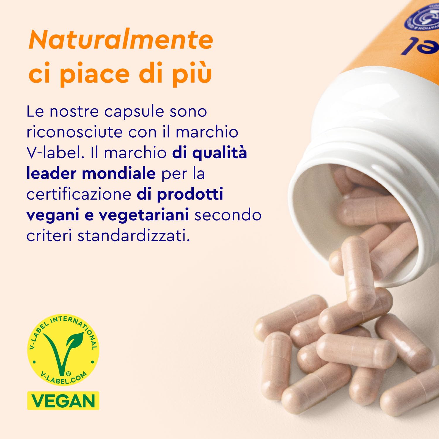 Vitamina C Naturale 240 Capsule, Vitamina C Acerola e Rosa Canina, 400 mg Vitamina C Pura per Dose Giornaliera, Vitamina C Capsule, Integratore Difese Immunitarie, 100% Vegan e Naturale