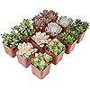 Product Photo 9