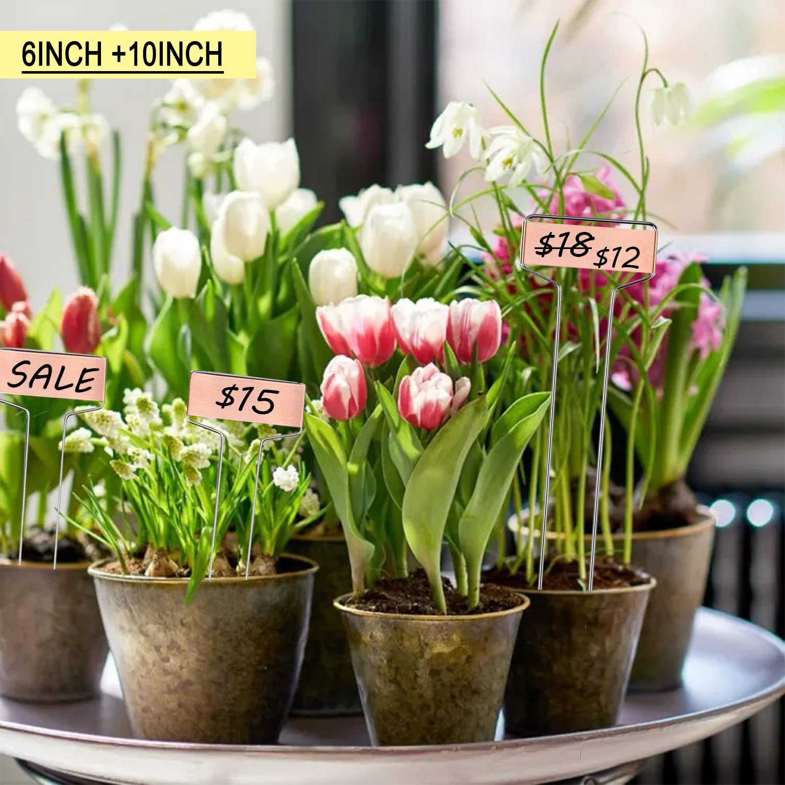 Confezione da 30 etichette in rame per piante, in metallo, 25,4 cm e 15,2 cm, riutilizzabili, per piantine, erbe, fiori, verdure, alberi e regali per giardinaggio