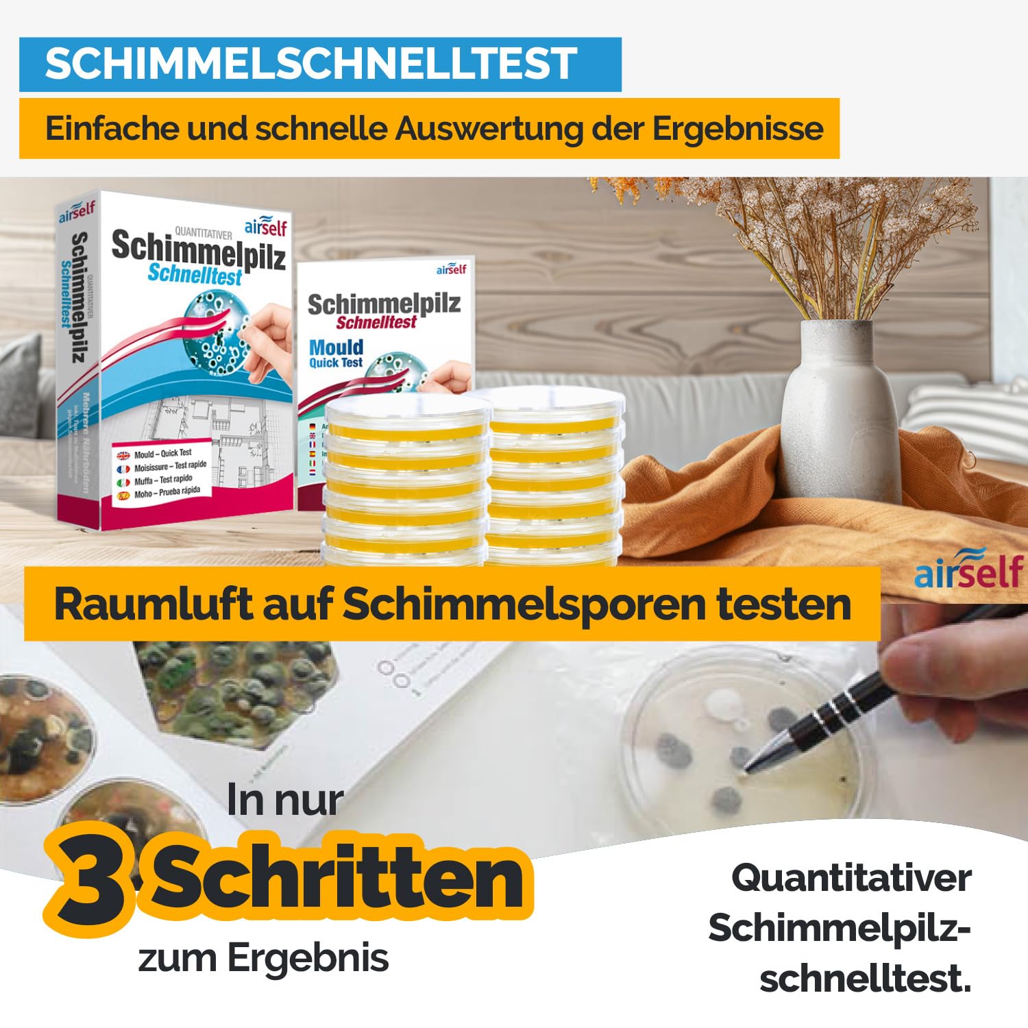 airself Schimmeltest Maxi-Set, 12 Nährböden | zur Untersuchung der Schimmelpilzbelastung in Innenräumen