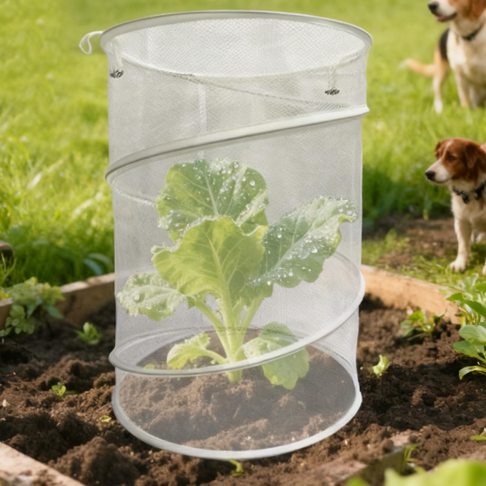 Protection des Contre Les Chats pour l'intérieur | Accessoire de Pot de Fleurs Rond Pliable réutilisable Respirant | Protection de Jardin pour – pour l'extérieur et