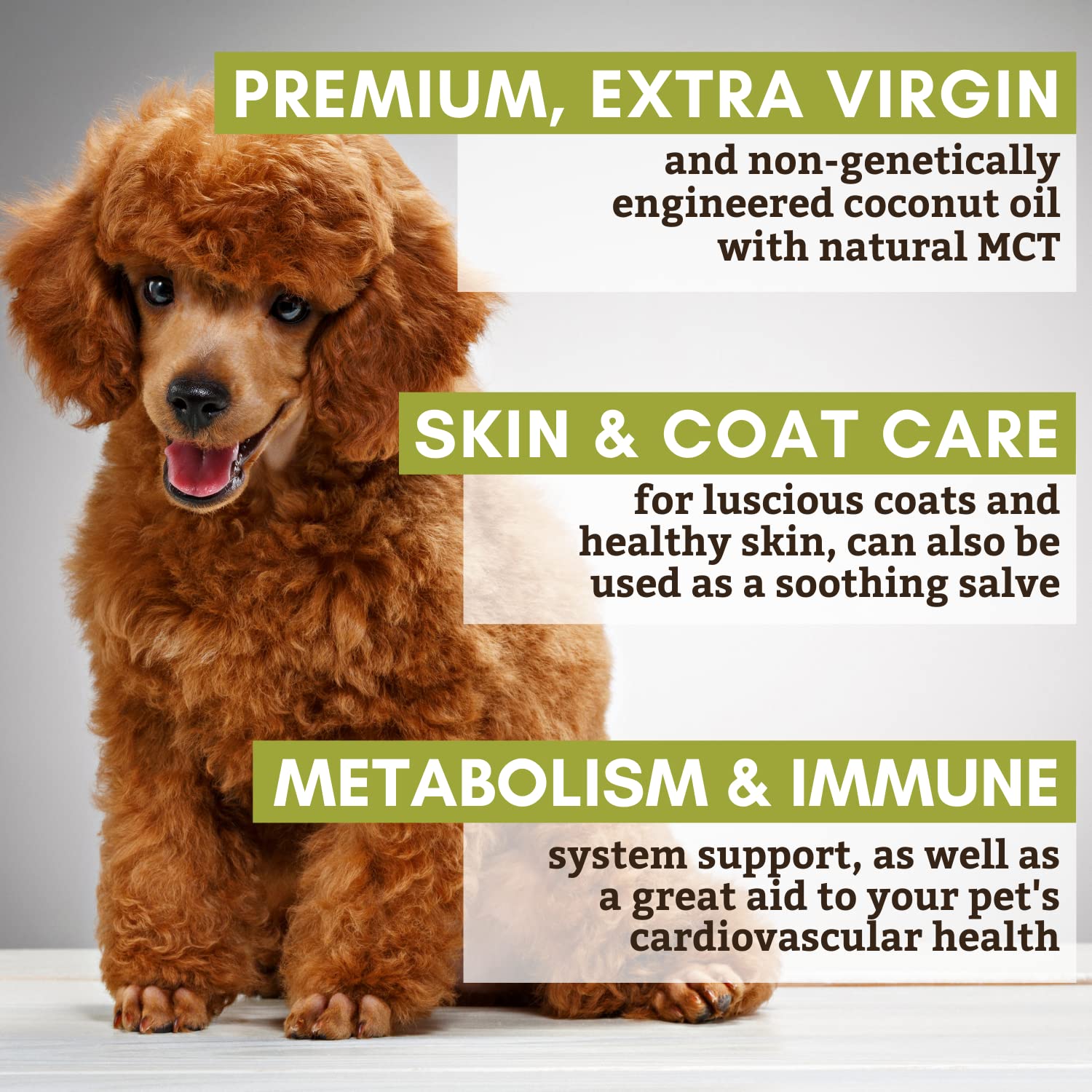 Is Coconut Oil Good For Puppies