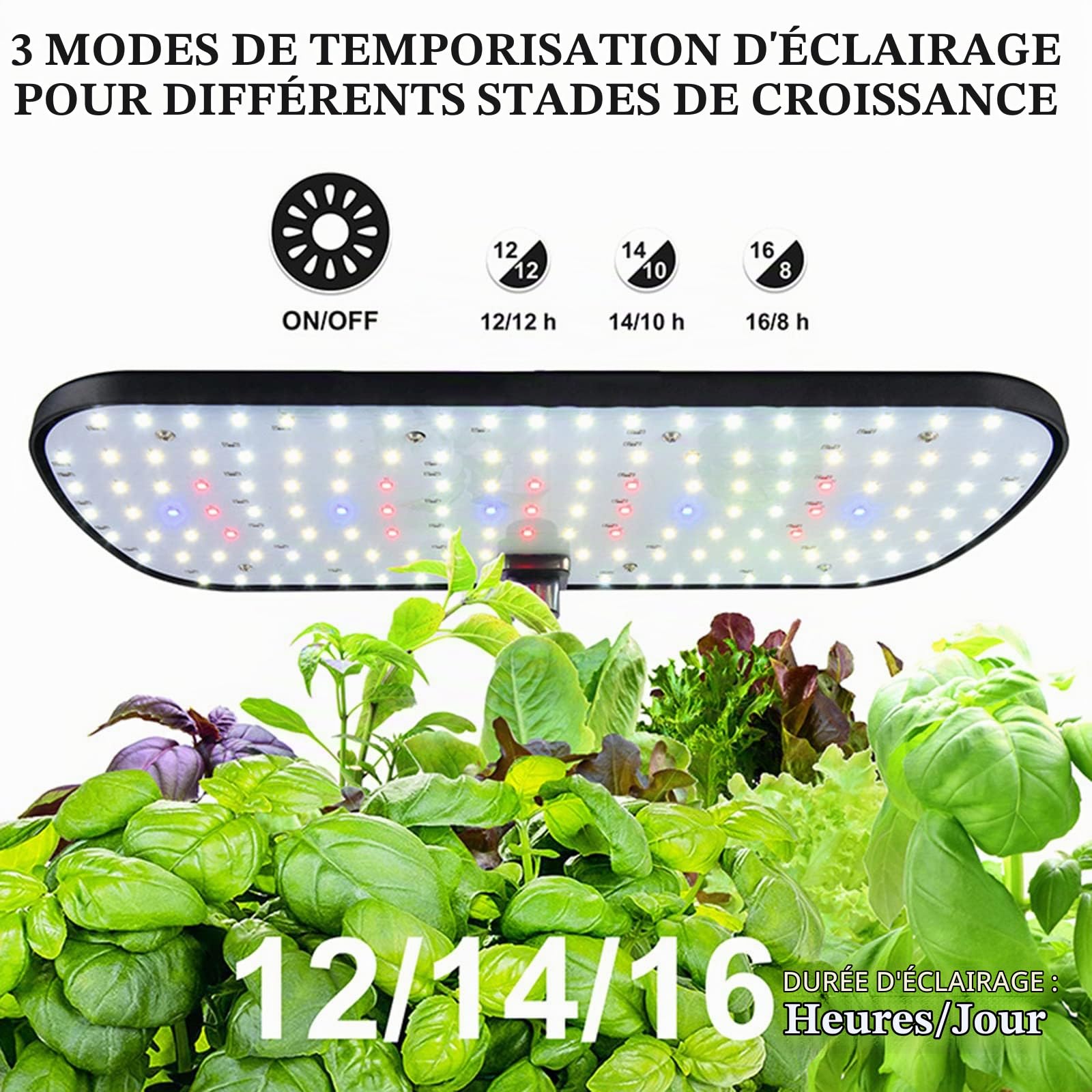 RoseFlower Système De Culture Hydroponique d'intérieur à 12 dosettes, Mini Serre Interieur avec Hauteur Réglable LED Grow Light, Potager Interieur, Station de Culture de Plantes - Noir