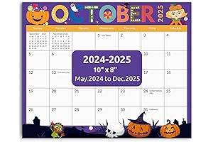 2024-2025 Magnetic Calendar for Refrigerator, Runs from May 2024-December 2025