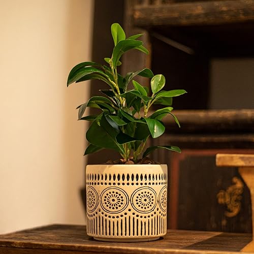 Miniatura 8 de Maceta Chonsun de Cerámica 4 Pulgadas Macetas para Plantas de Interior y Exterior Maceta para Suculentas Maceta para Flores Maceta de Cerámica de