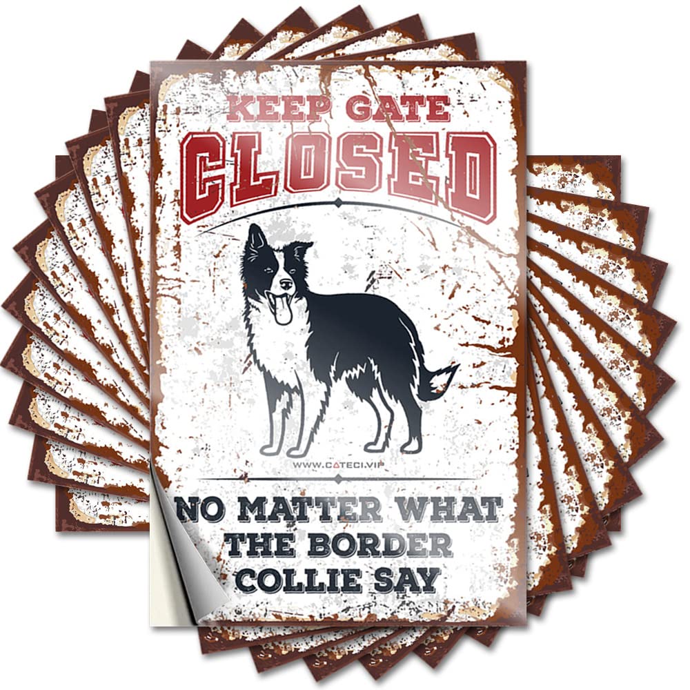 Cool Room Stuff, Decal Funny Accessory Quote Stickers, Golden No Residue Decals for Luggage | Scooter Party Favor Custom Keep Gate Closed No Matter What The Border Collie Say(8X12CM)