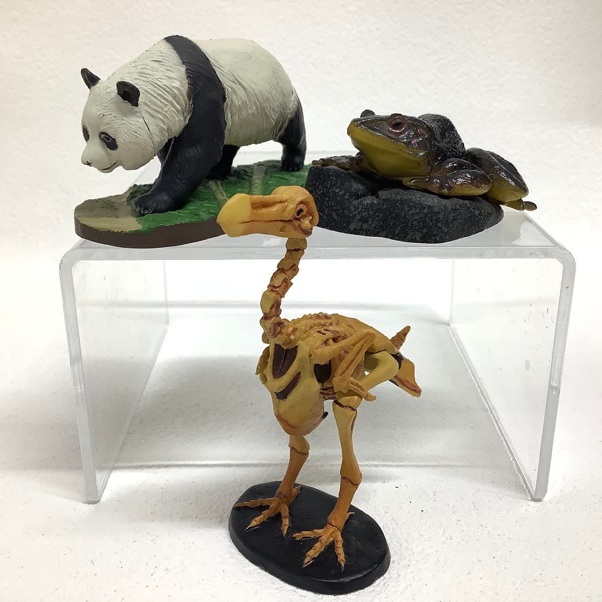 Amazon.co.jp: 世界の動物コレクション 動物世界遺産 レッド・データ  