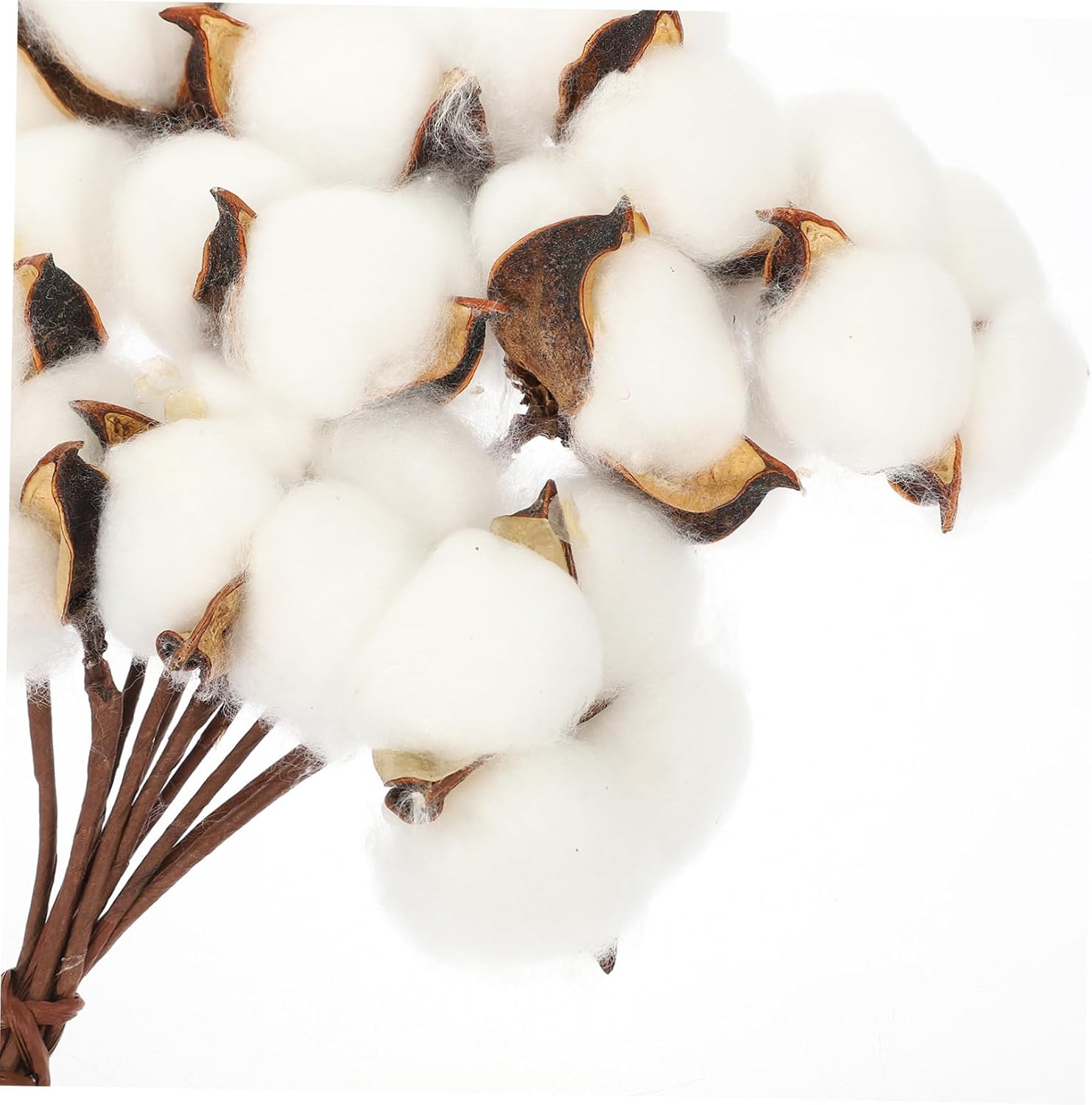 OUNONA Dried White Cotton Branch Picks Premium Cotton Balls for DIY Home Decor Festival Decorations Wedding Floral Arrangements