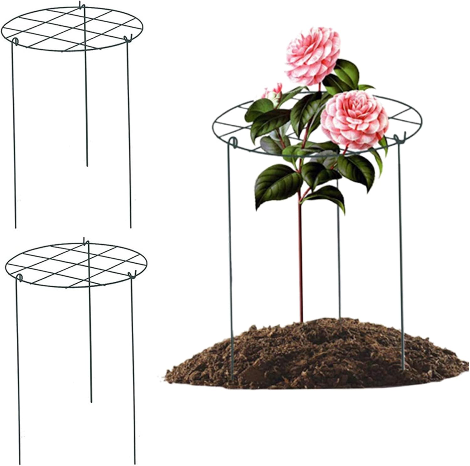 Peonies Support Cages, 6 Pack Peony Cages and Supports 35x45cm Plant Cages for Outdoor Plants Tomato Plant Support Plant Brace Flower Support Rings Hoops for Rose, Orchids