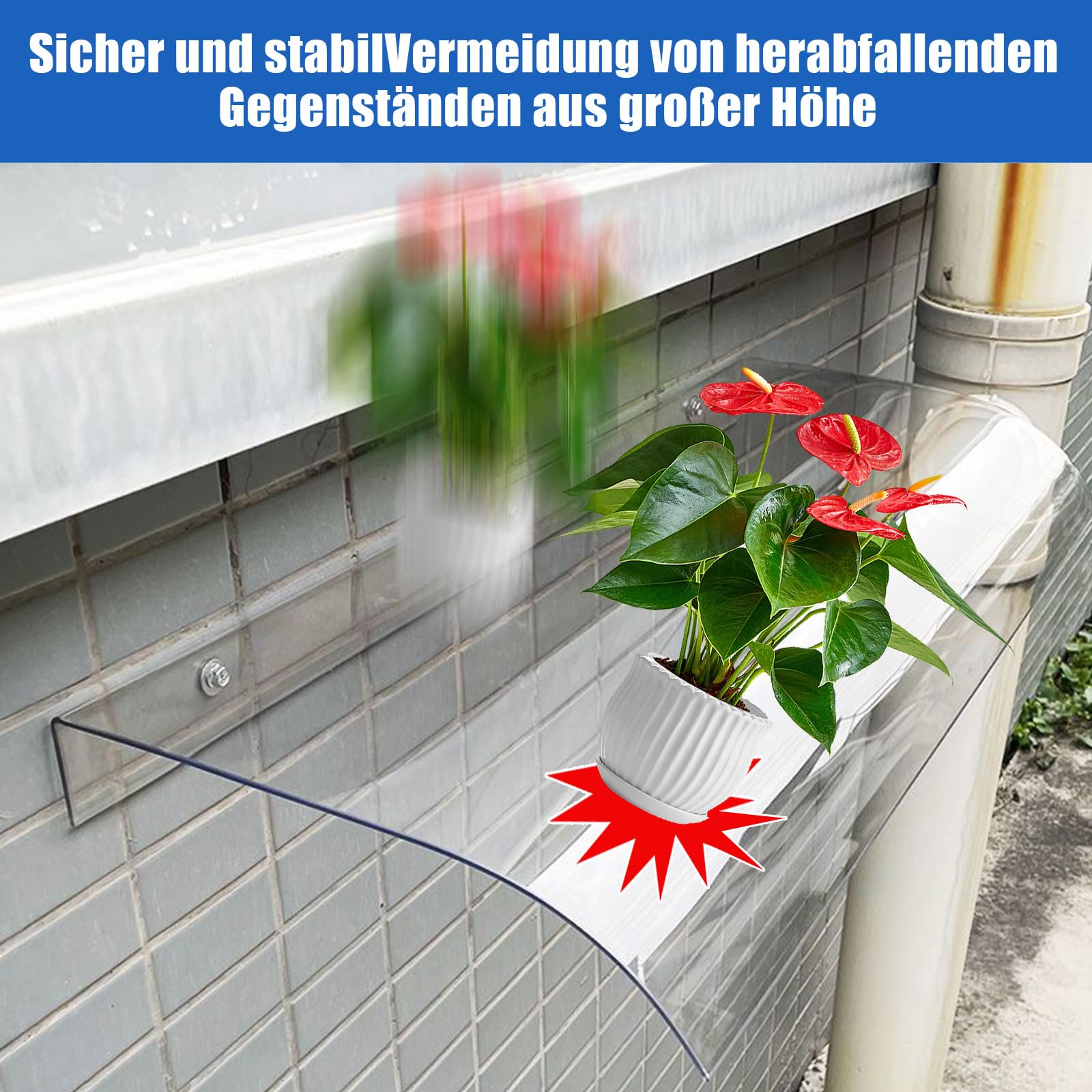 Marquesina para puerta de casa, toldo de policarbonato, protección solar y protección contra la lluvia, techo de puerta con transparente, toldo para puerta de casa o terraza (plano, 400 x 400)