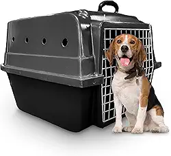 Caixa de Transporte Cachorro Cães Porte Médio Rafapet (Cinza)