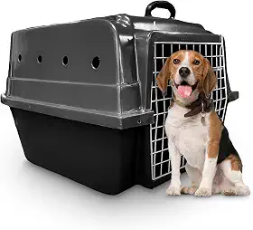 Caixa de Transporte Cachorro Cães Porte Médio Rafapet (Cinza)