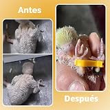 Ver la foto 4