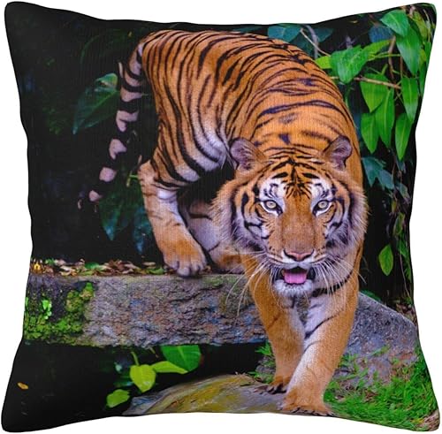 VARUN Fundas de almohada de tigre feroz con estampado de animales salvajes y animales salvajes, funda de almohada decorativa para el hogar, sofá,