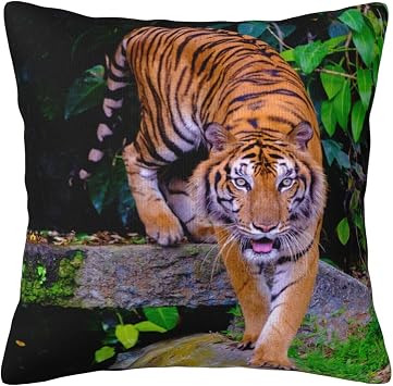 VARUN Fierce Tiger Pillowcases Striped Skin Forest Wild Animal Art Print Pillow Case Decorative Throw Pillow Cover for Home Sofa Office 18x18inch