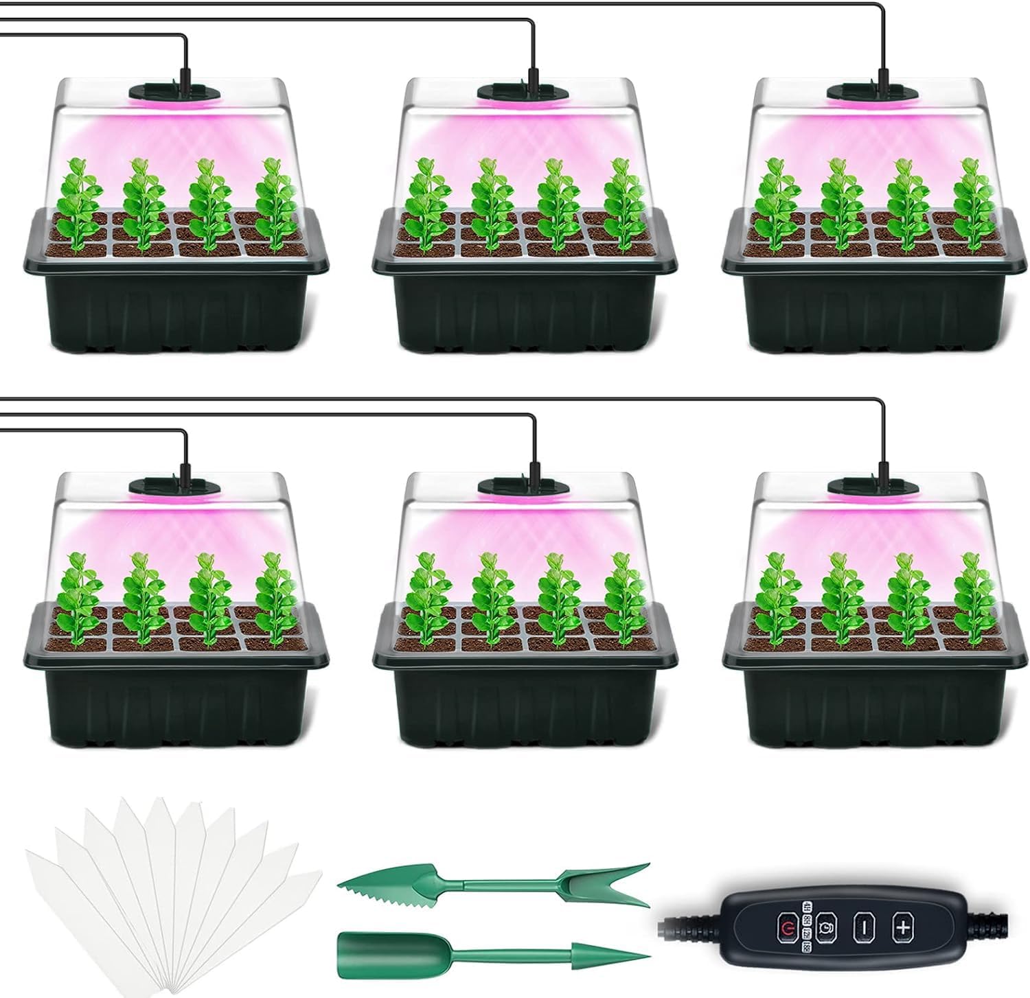 Seed Starter Tray with Grow Light, 6 Pack Plant Germination Trays Grow
