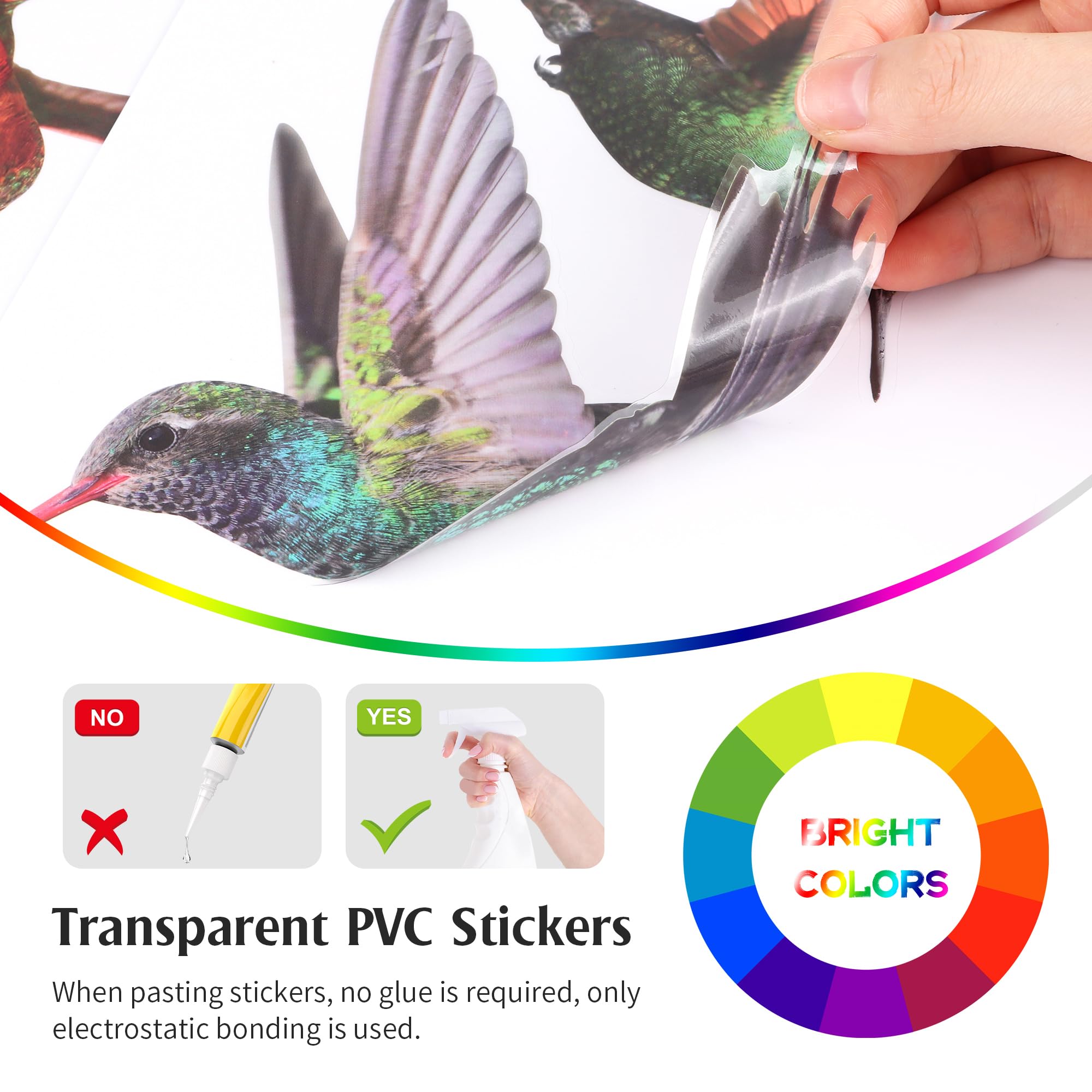 19 Autocollants Colibri Anti-collision - Protection Vitres Pour Oiseaux, Décoration Fenêtre