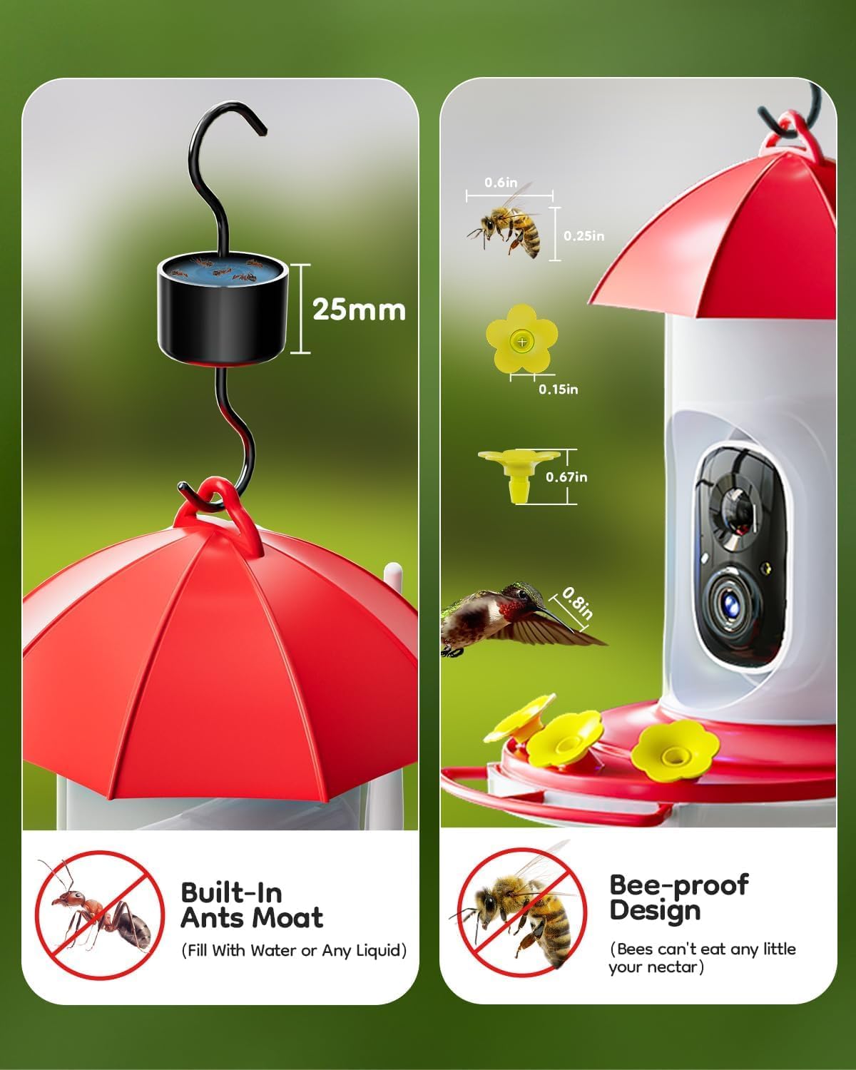 2K Hummingbird Feeder Camera Outdoor - AI Identify 10000+ Birds, Ant Bee Proof, Instant Notification - Great Gift for Bird Lovers - Image 5