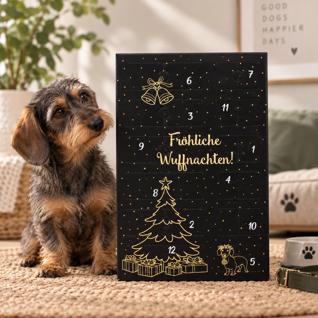 XXL Adventskalender für Hunde, 24 Verschiedene Überraschungen aus 100% Fleisch ohne Zusätze, Snacks, Kauartikel und Leckerlies