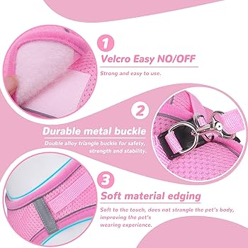 SMALLLE_LUCKY_STORE: Fashion Harness Set