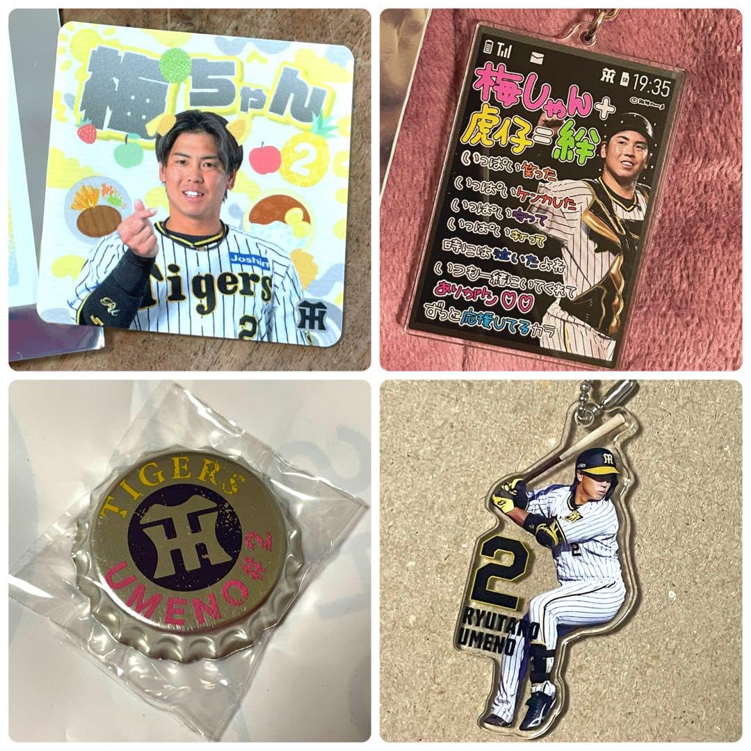 梅野隆太郎選手 セット 200名限定の甲子園歴史館特別企画 阪神