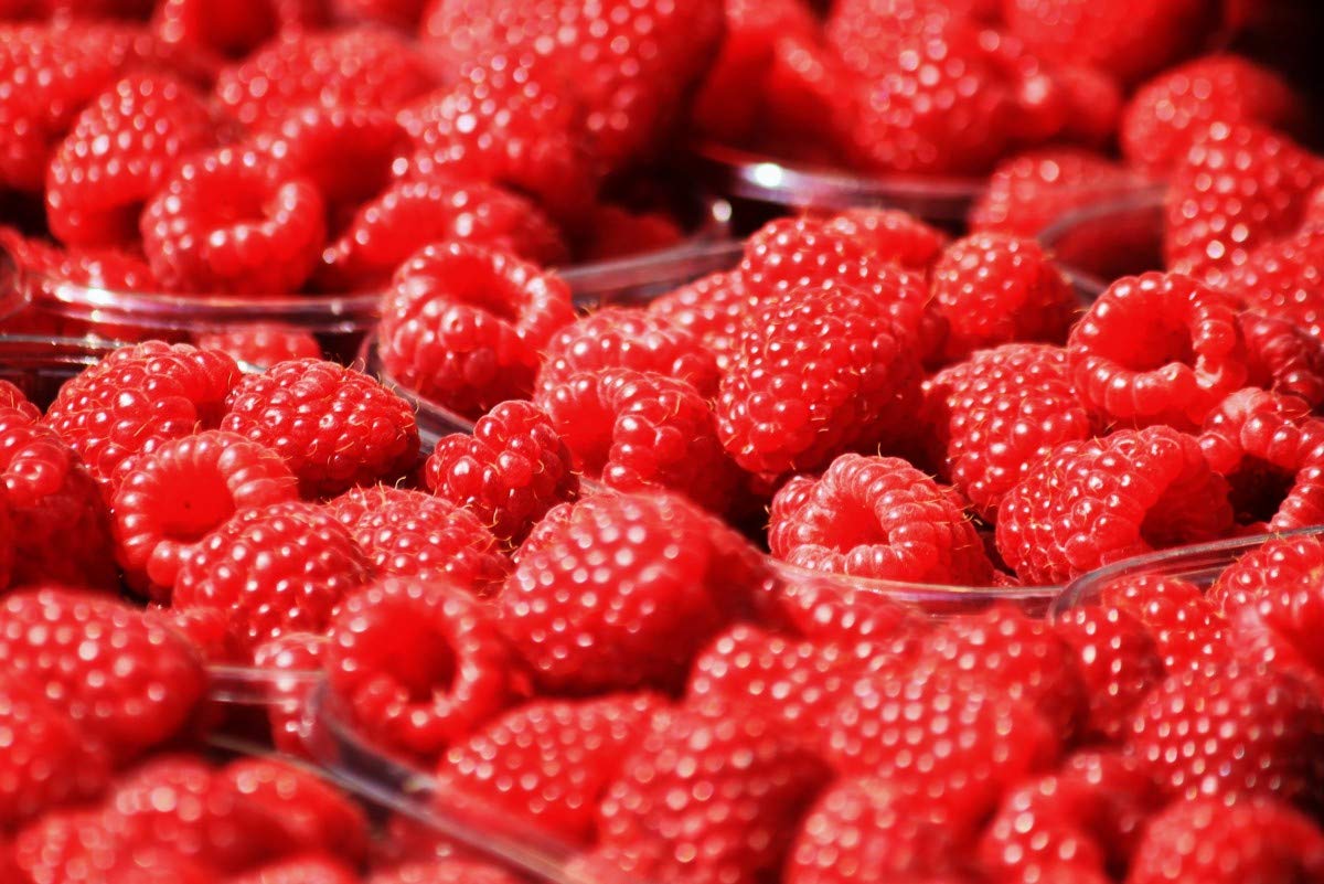 Ponthier ROTE FRÜCHTE PÜREE Sauerkirsche Himbeere Erdbeere Schwarze Johannisbeere Früchte-Püree Rote Früchtemark 1KG Frucht-Smoothie-Bowl-Sorbet-Wasser-Cocktail-Schorle (1, 1kg)